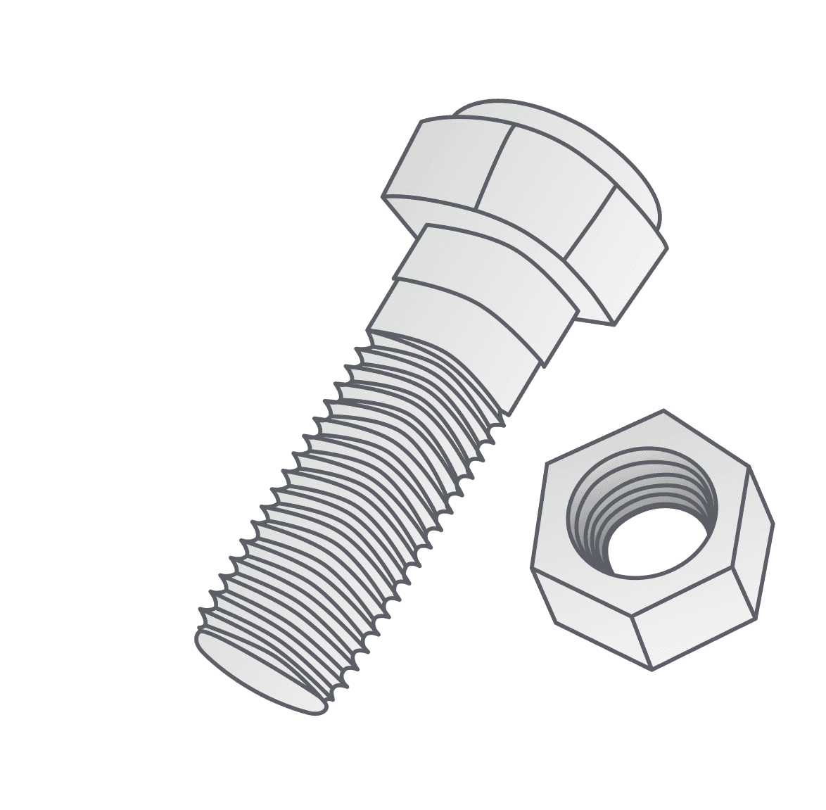 A hex bolt and a matching nut, showing external threads on the bolt and internal threads in the nut.